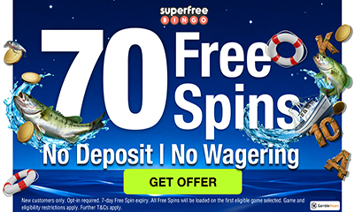 70 free bingo spins with no deposit or wagering